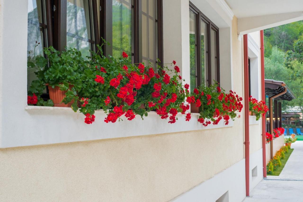 Pension Noblesse Băile Herculane Exterior foto